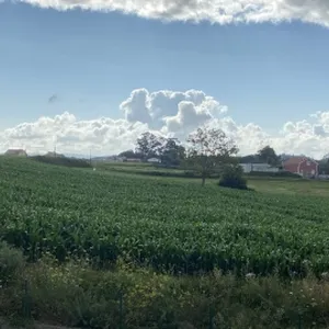 LenaDingle's profile photo