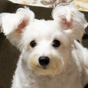 Luis82's profile photo