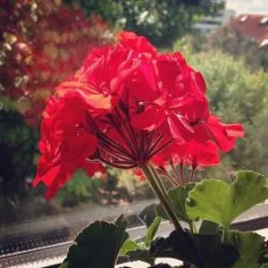 Andre0440's profile photo