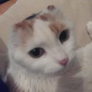 Marga_rita's profile photo