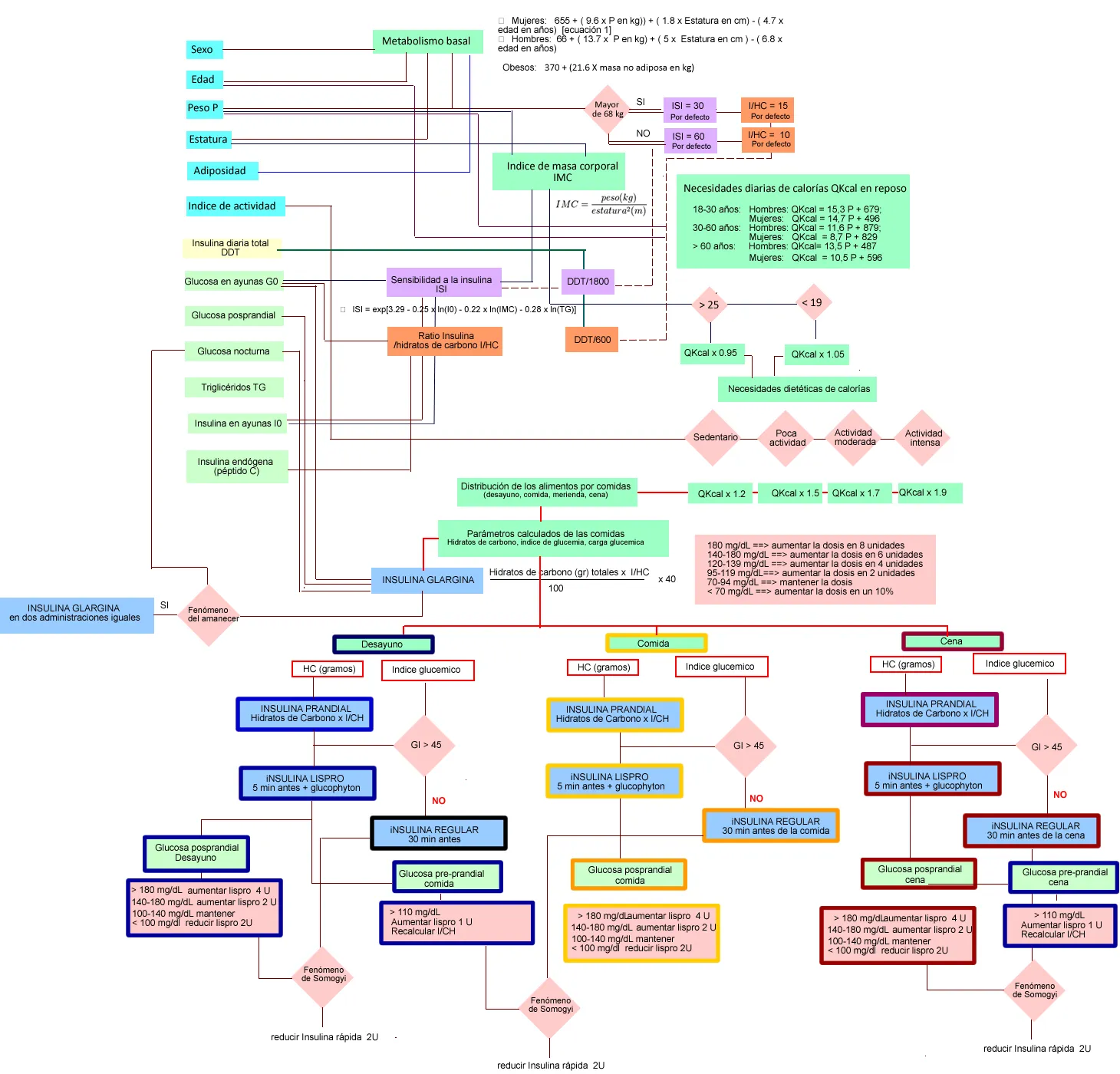 {'en': 'Algorithm for calculating insulin needs', 'es': 'Algoritmo para el cálculo de las necesidades de insulina'} Image