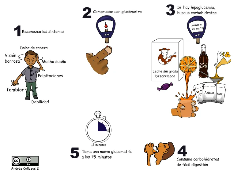 {'en': 'HypoglycemiaDefinition and types.', 'es': 'HIpoglucemia. Definición y tipos.'} Image