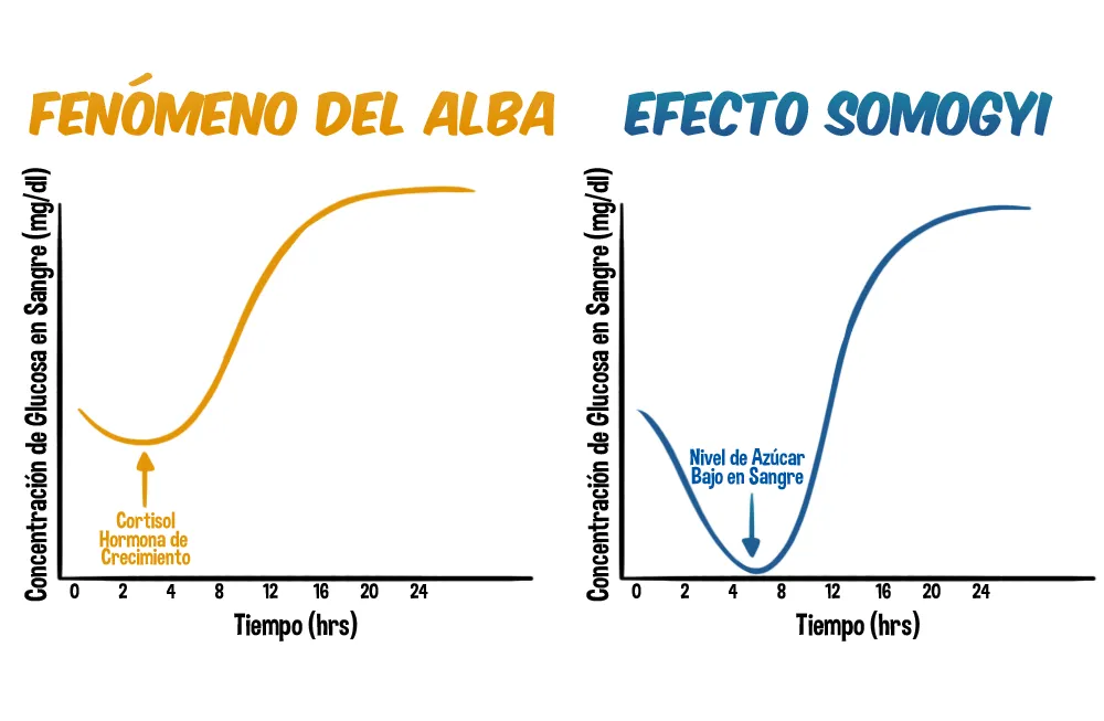 {'en': 'What happens to me?Possible effect of dawn?', 'es': '¿Qué me sucede? ¿Posible efecto del alba?'} Image