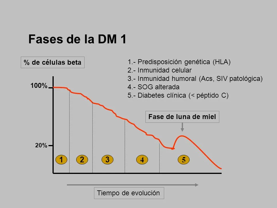 {'en': 'Type 1 How long does it take?', 'es': 'Tipo 1 cuanto tarda?'} Image