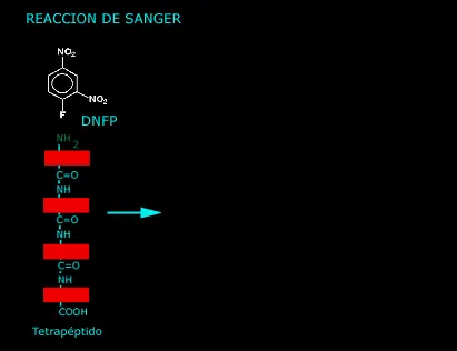 {'en': 'Diabetes History', 'es': 'Historia de la Diabetes'} Image