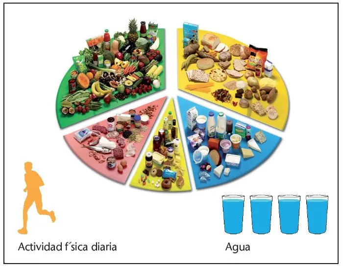 {'en': 'How many carbohydrates do you eat a day?', 'es': '¿Cuántos hidratos de carbono coméis al día?'} Image