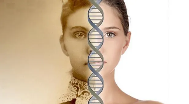 {'en': 'Genetics say ......', 'es': 'Genetica dicen......'} Image