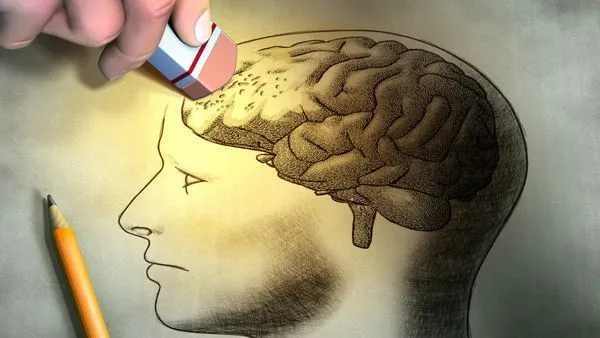 {'en': 'The increase in blood sugar affects aged brain', 'es': 'El aumento del azúcar en sangre afecta al cerebro envejecido'} Image