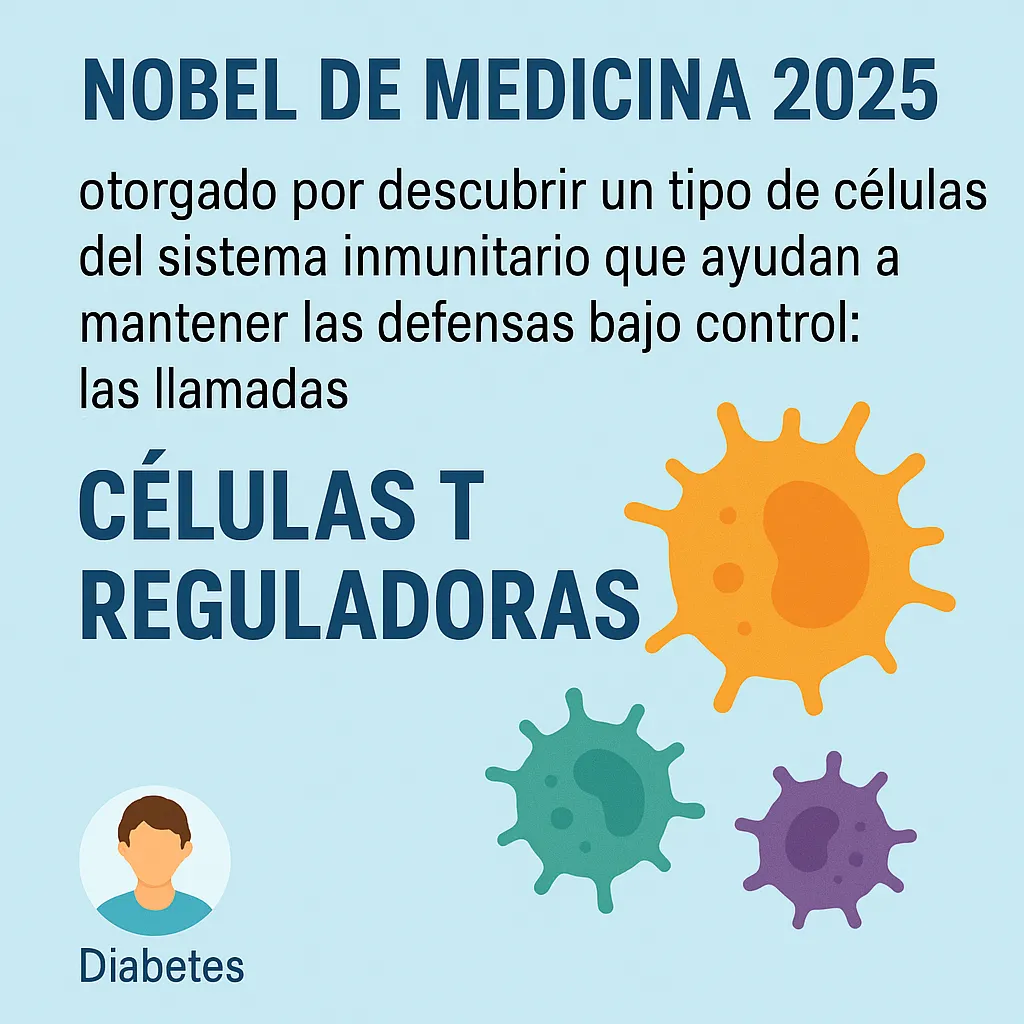 {'en': 'Nobel Prize in Medicine: Regulatory T cells, or TREGS How can you help you if you have diabetes?', 'es': 'Premio Nobel de Medicina: Células T reguladoras, o Tregs ¿Cómo te puede ayudar si tienes diabetes?'} Image