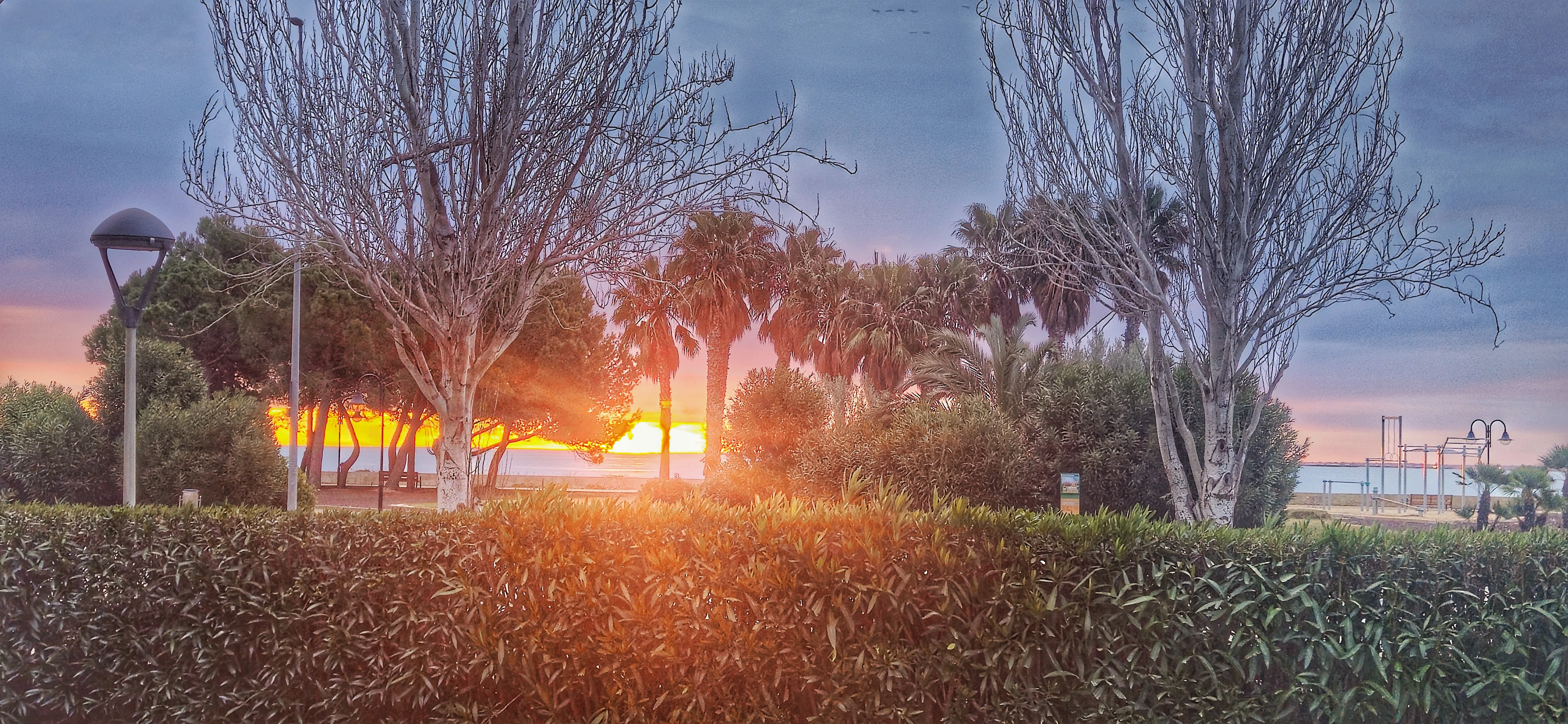 {'en': "I didn't choose diabetes", 'es': 'No elegí la diabetes'} Image