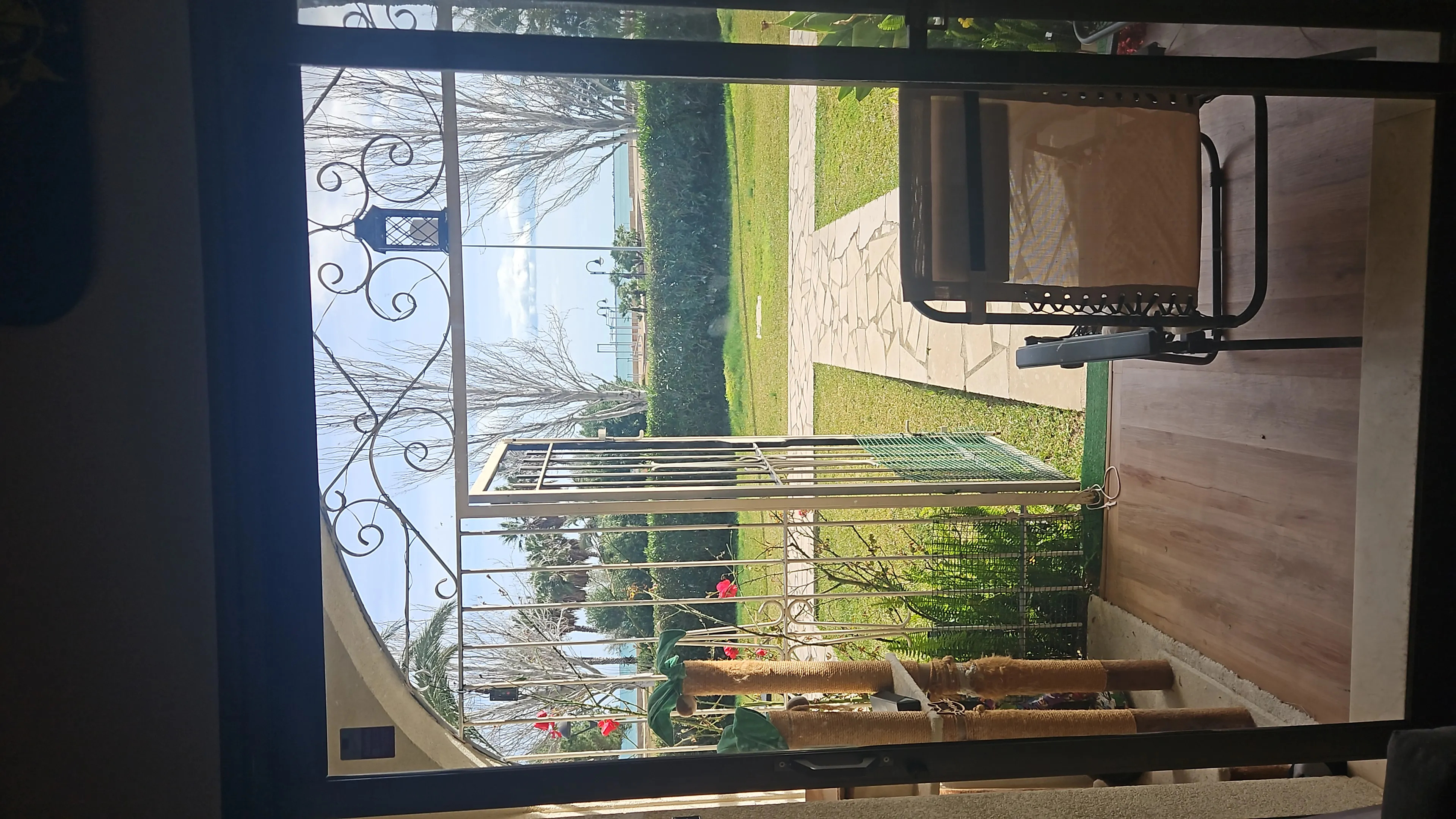 {'en': "I didn't choose diabetes", 'es': 'No elegí la diabetes'} Image