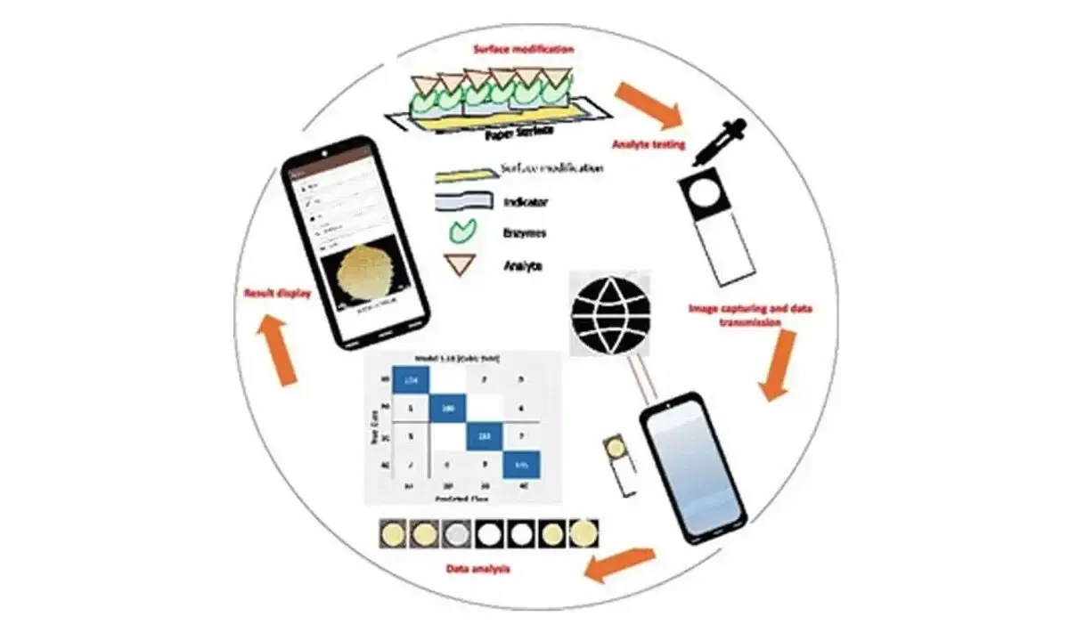 {'en': 'Use paper to measure glucose', 'es': 'Usar papel para medir la glucosa'} Image