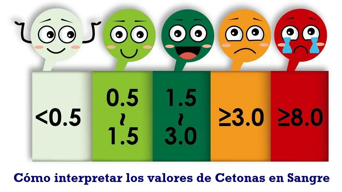 {'en': 'Doubt about the ketones', 'es': 'Duda sobre las cetonas'} Image