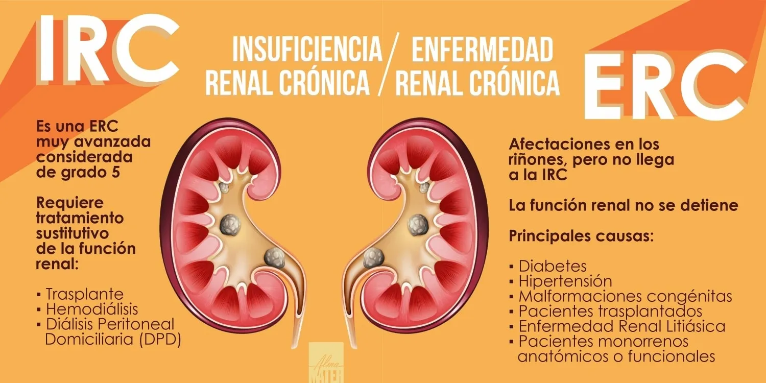 {'en': 'What is the relationship between chronic kidney disease and diabetes?', 'es': '¿Cuál es la relación entre enfermedad renal crónica y diabetes?'} Image