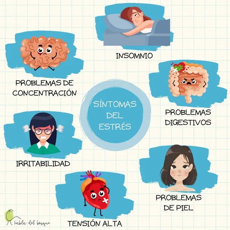 {'en': 'Is there a strong connection between stress and type 2 diabetes?', 'es': '¿Existe una conexión fuerte entre estrés y diabetes tipo 2?'} Image