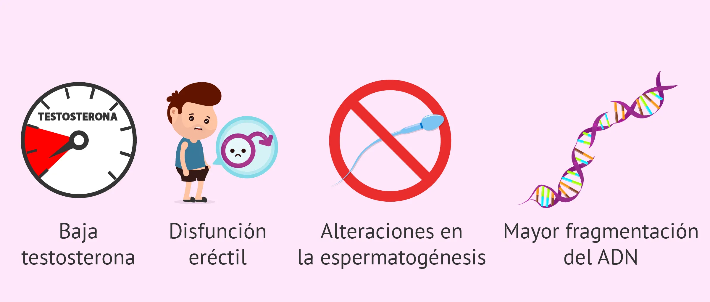 {'en': 'Does diabetes affect male fertility?', 'es': '¿Afecta la diabetes a la fertilidad masculina?'} Image