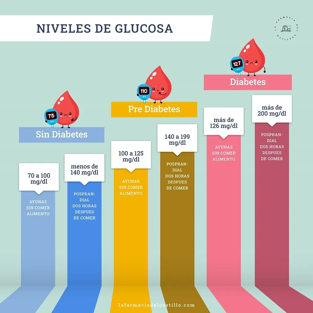 {'en': 'Diabetes: These are the ideal levels of blood glucose for an adult', 'es': 'Diabetes: estos son los niveles ideales de glucosa en sangre para un adulto'} Image