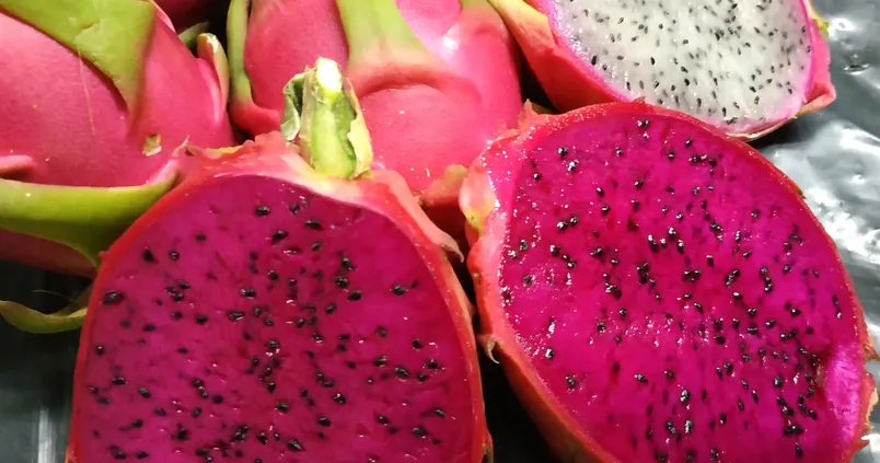 {'en': 'Pitaya', 'es': 'Pitaya'} Image