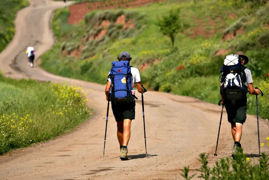 {'en': 'Camino de Santiago', 'es': 'Camino de Santiago'} Image