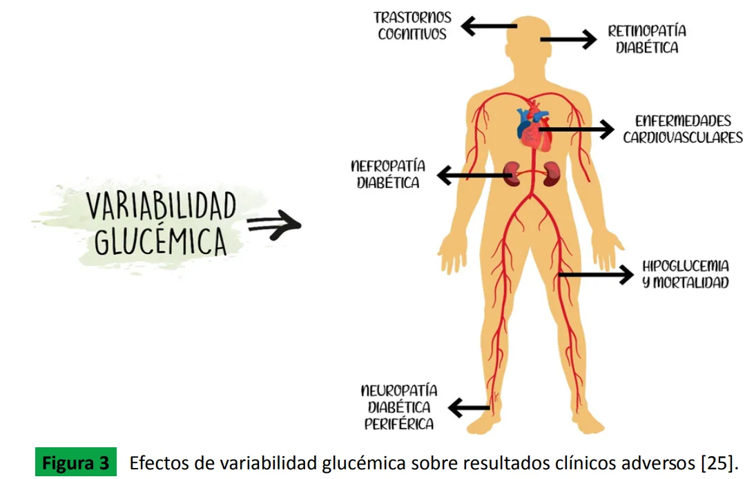 {'en': 'Glycosilad and glycemic variability', 'es': 'Glicosilada y Variabilidad Glucémica'} Image