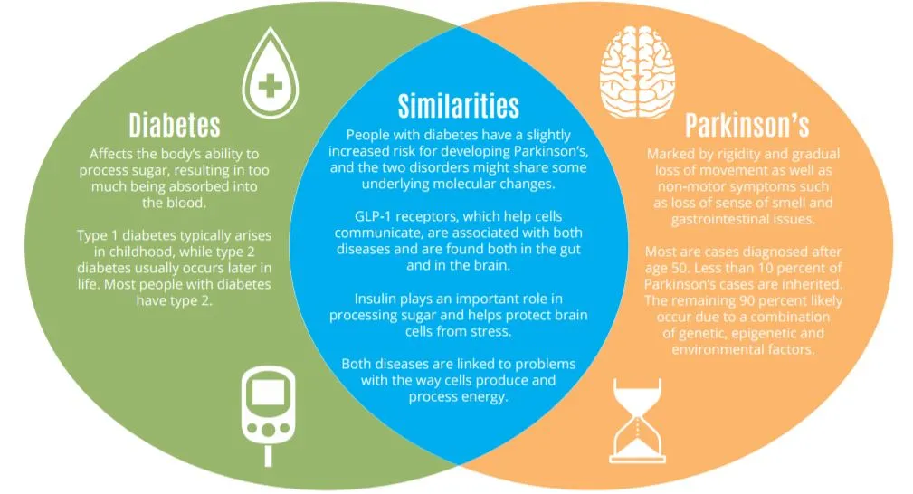 {'en': "There could be a link between type 2 diabetes and Parkinson's disease (study)", 'es': 'Podría existir un vínculo entre la diabetes tipo 2 y la enfermedad de Parkinson (Estudio)'} Image