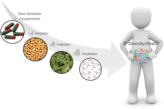 {'en': 'A greater knowledge of the microbioma would help in the prevention of allergies and diabetes', 'es': 'Un mayor conocimiento del microbioma ayudaría en la prevención de alergias y diabetes'} Image