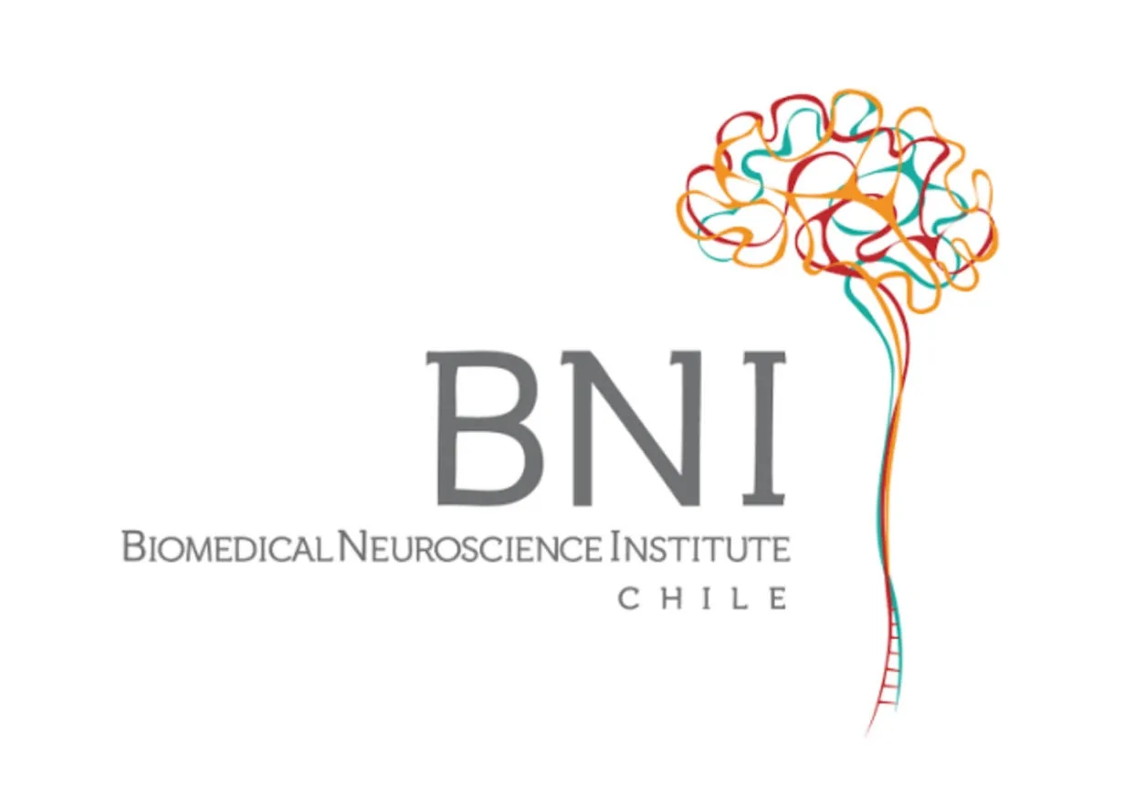 {'en': 'Cellular mechanism discovered in Chile to combat diabetes', 'es': 'Descubren en Chile mecanismo celular para combatir la diabetes'} Image