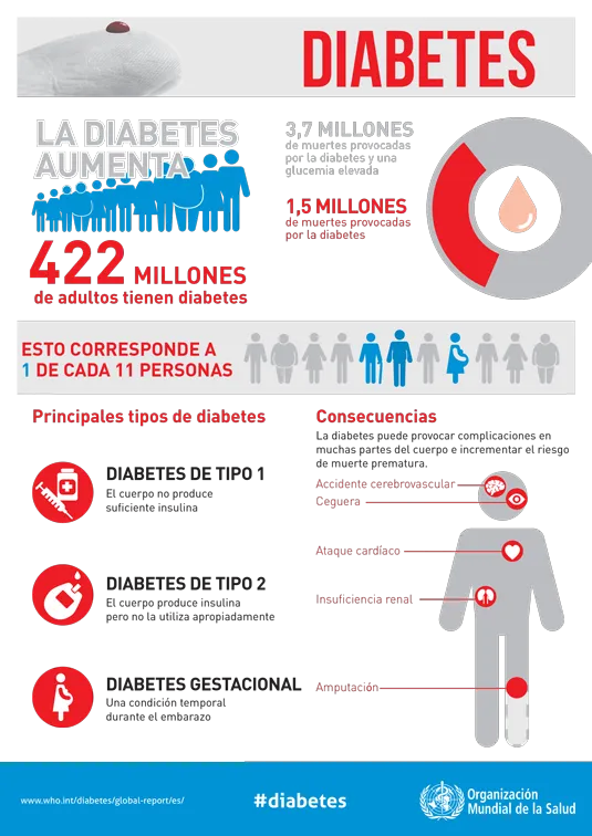 {'en': 'What are the main differences between type 1 and 2 diabetes?', 'es': '¿Cuáles son las diferencias principales entre la diabetes tipo 1 y 2?'} Image