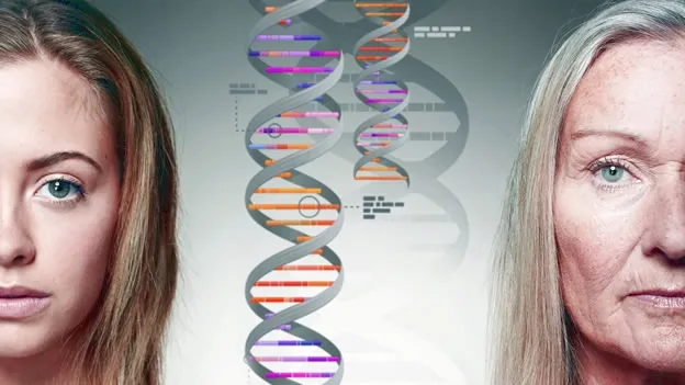 {'en': 'What are the possibilities to suffer diabetes with family history?', 'es': '¿Qué posibilidades hay de sufrir diabetes con antecedentes familiares?'} Image