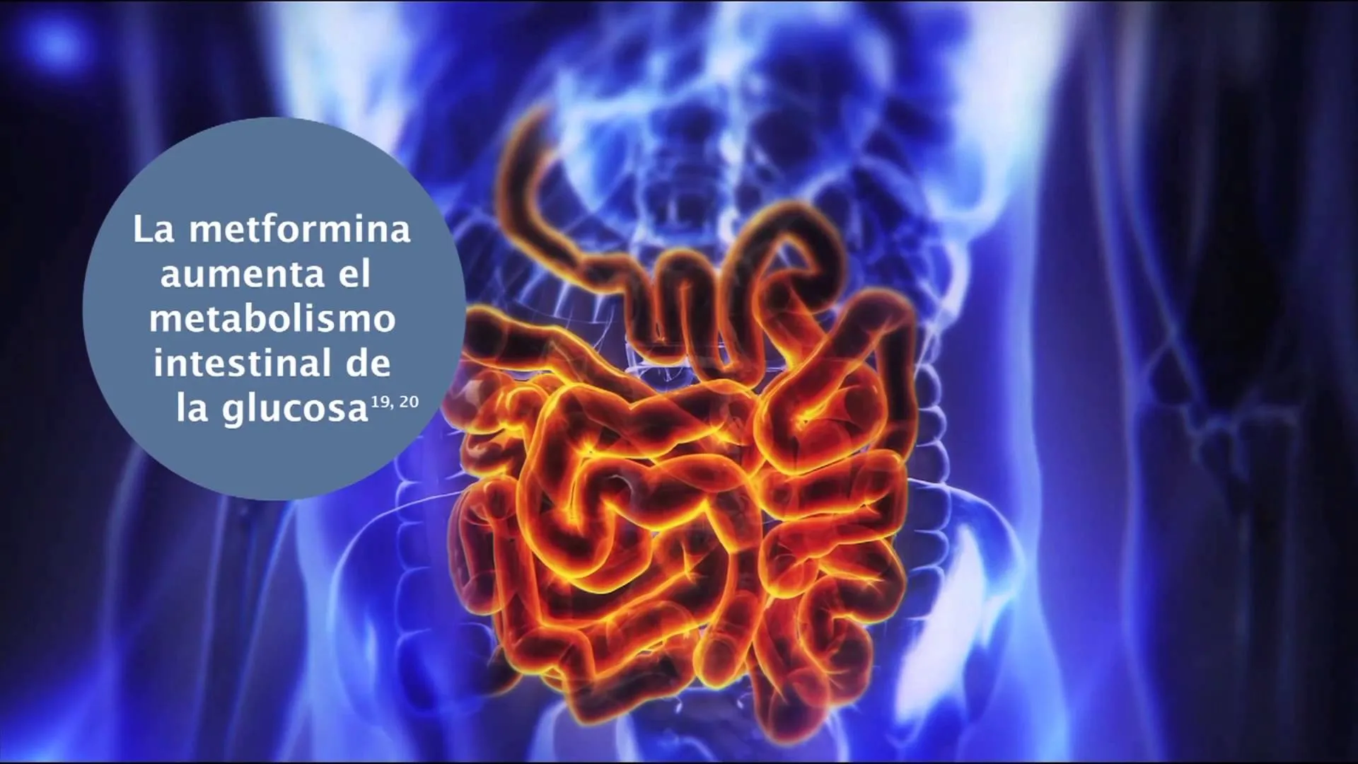 {'en': 'Effects of immediate and prolonged liberation metformin (study)', 'es': 'Efectos de la Metformina de liberación inmediata y prolongada (Estudio)'} Image