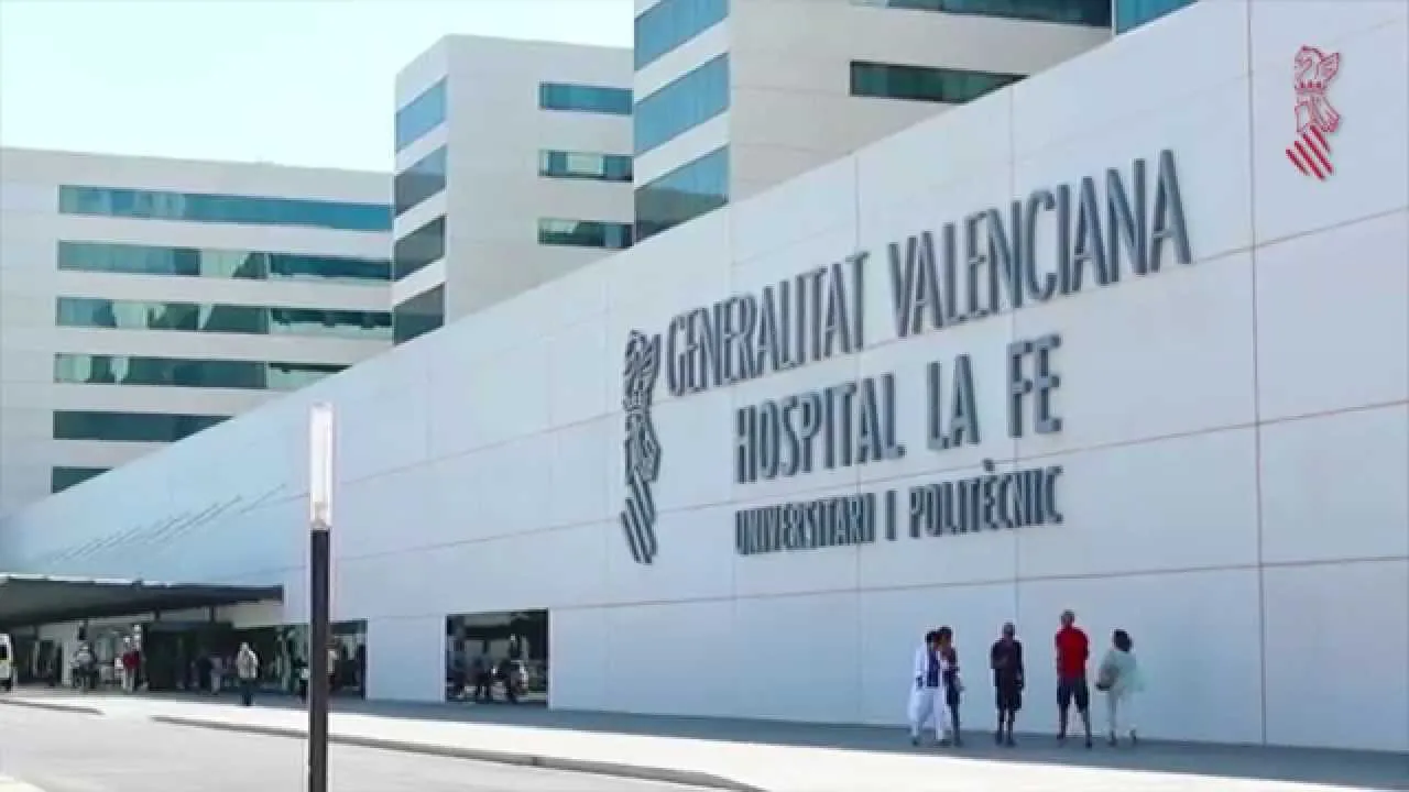 {'en': 'What insulin bomb brand, supplies the La Fe hospital in Valencia?', 'es': 'Que marca de bomba de insulina, suministra el Hospital La FE de Valencia?'} Image