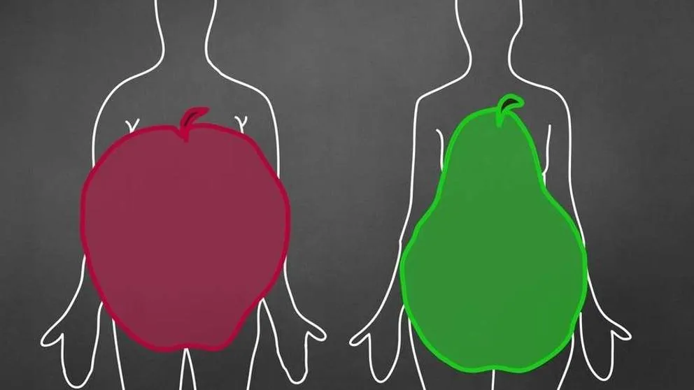 {'en': 'People with "apple" body are more risk of diabetes and heart problems', 'es': 'Las personas con cuerpo de “manzana” tienen más riesgo de sufrir diabetes y problemas de corazón'} Image