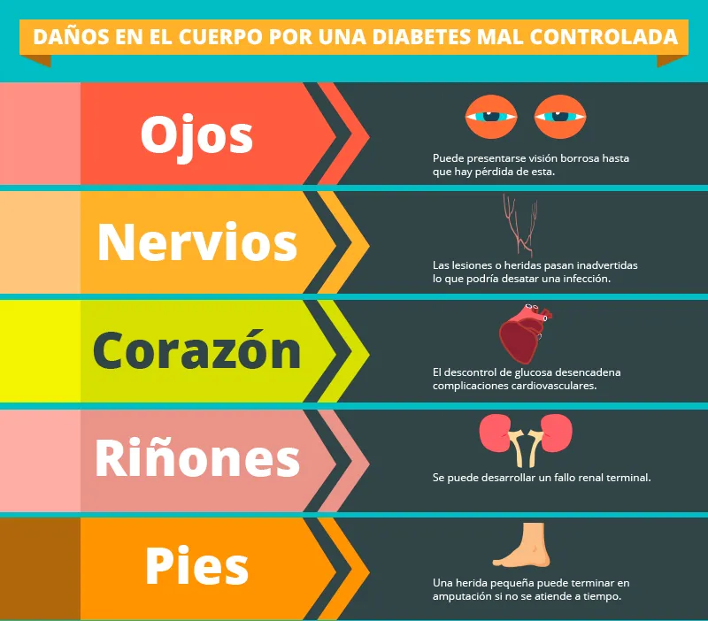 {'en': 'Risks of poorly treated diabetes', 'es': 'Riesgos de una diabetes mal tratada'} Image