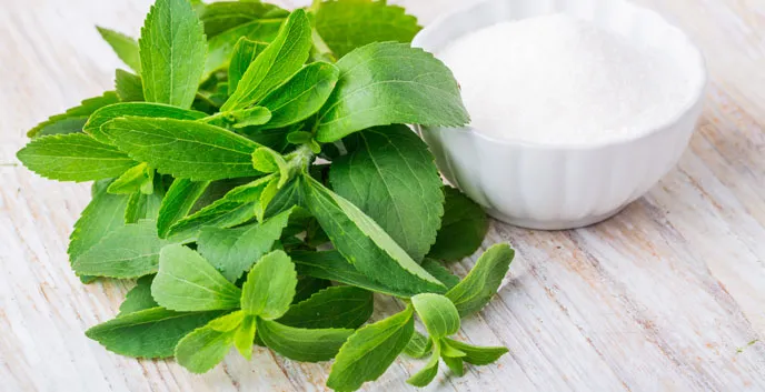 {'en': '9 myths about Stevia', 'es': '9 mitos sobre la stevia'} Image