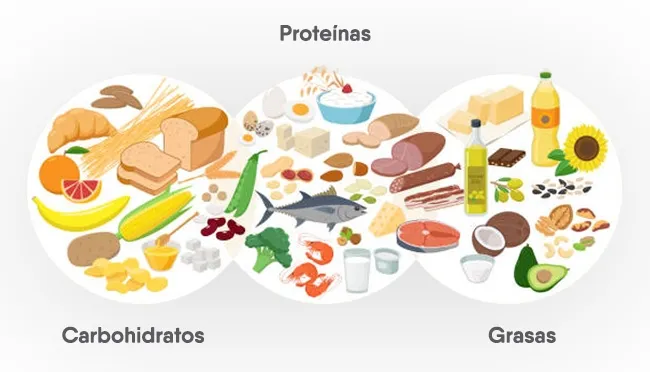 {'en': 'Are good fats and bad carbohydrates for diabetes?', 'es': '¿Son las grasas buenas y los carbohidratos malos para la diabetes?'} Image