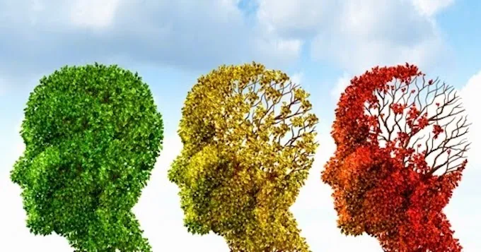 {'en': 'Diabetes ages the brain 5 years faster than normal', 'es': 'La diabetes envejece el cerebro 5 años más rápido de lo normal'} Image