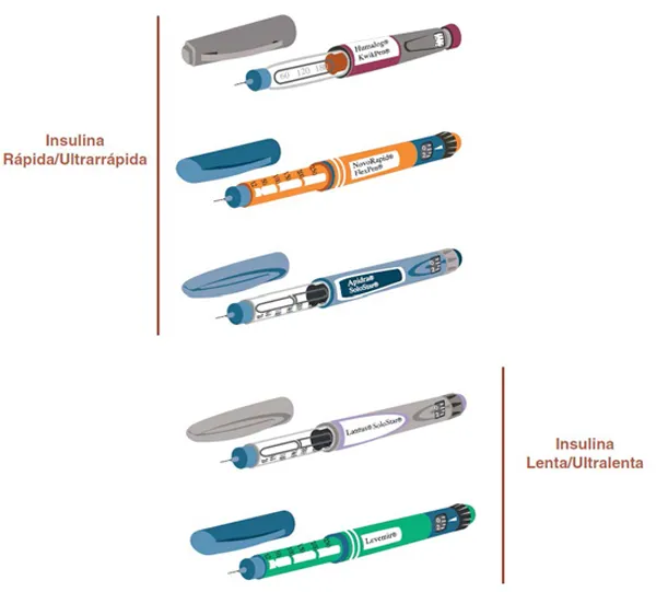 {'en': 'My recent experience with slow and fast insulin', 'es': 'Mi experiencia reciente con insulina lenta y rápida'} Image