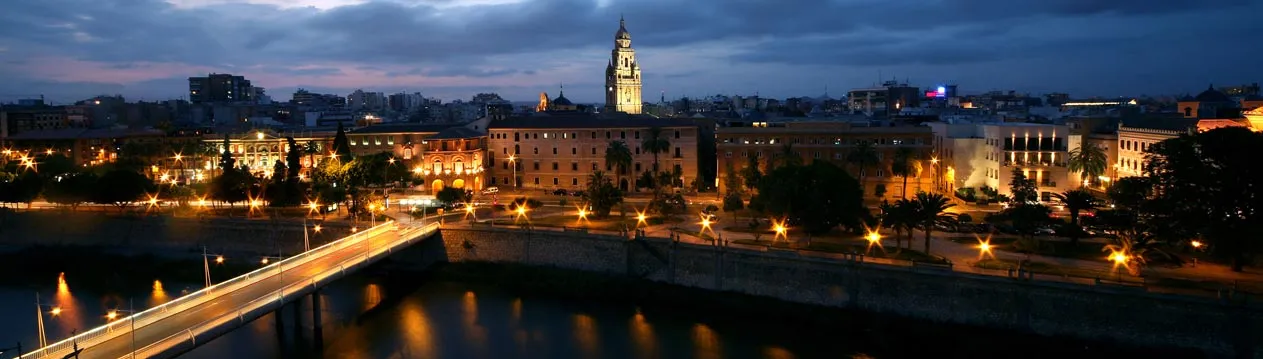 {'en': 'Murcia, National Capital of World Diabetes Day', 'es': 'Murcia, capital nacional del Día Mundial de la Diabetes'} Image