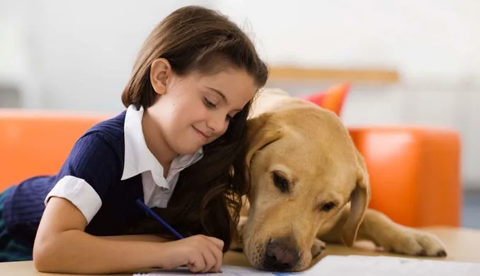 {'en': 'Having a pet improves diabetes control', 'es': 'Tener una mascota mejora el control de la diabetes'} Image