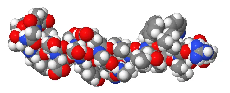 {'en': 'Teneligliptin has beneficial effects on type 2 diabetic patients (study)', 'es': 'La teneligliptina tiene efectos beneficiosos en pacientes diabéticos tipo 2 (Estudio)'} Image